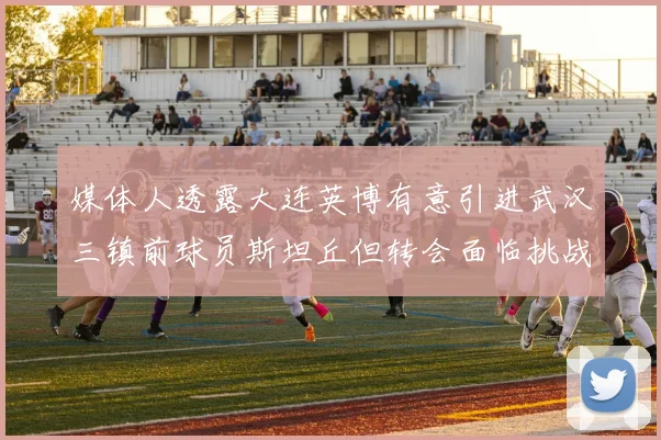 媒体人透露大连英博有意引进武汉三镇前球员斯坦丘但转会面临挑战